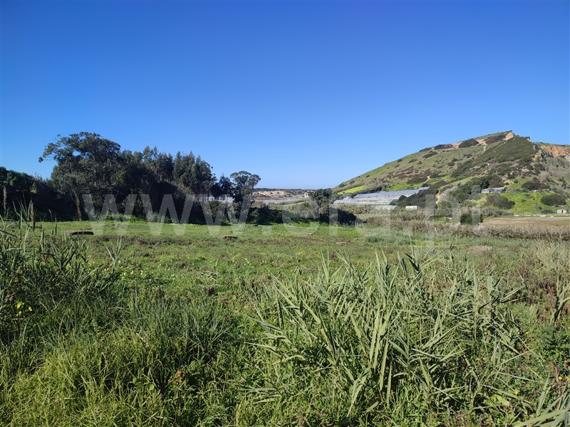 Terreno Rústico  Torres Vedras, A dos Cunhados e Maceira - 1292943 - 4