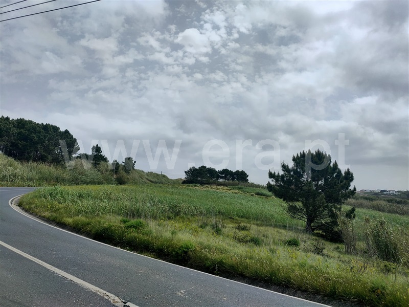 Terreno / Torres Vedras, A dos Cunhados e Maceira