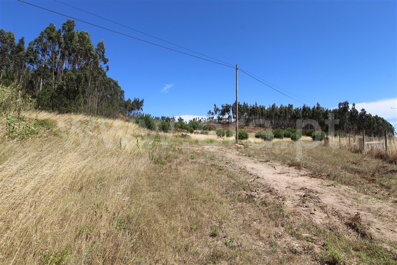 Terreno  Torres Vedras, Campelos e Outeiro da Cabeça - 1258717 - 7