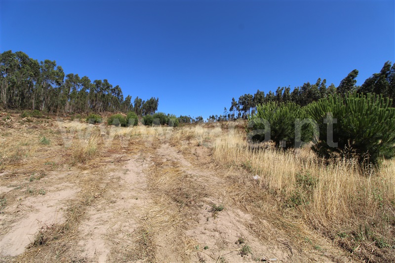 Terreno  Torres Vedras, Campelos e Outeiro da Cabeça - 1258717 - 10
