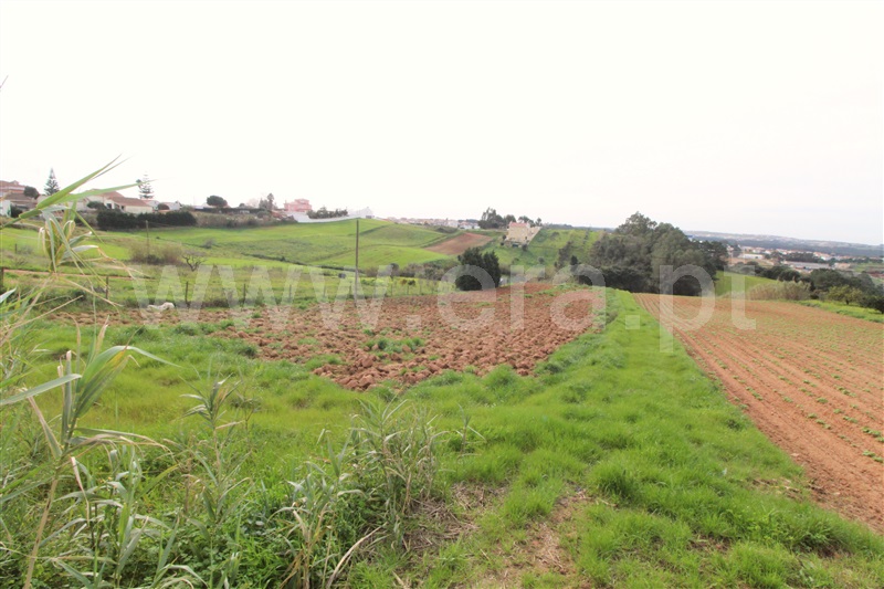 Terreno / Torres Vedras, Campelos e Outeiro da Cabeça