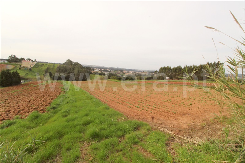 Terreno  Torres Vedras, Campelos e Outeiro da Cabeça - 1464224 - 2