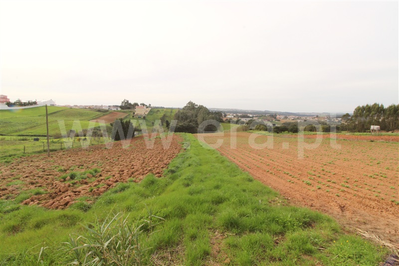 Terreno  Torres Vedras, Campelos e Outeiro da Cabeça - 1464224 - 3