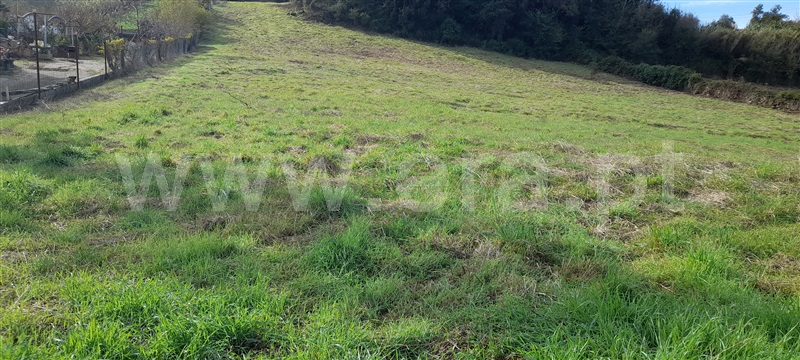 Terreno  Torres Vedras, Dois Portos e Runa - 1118442 - 4