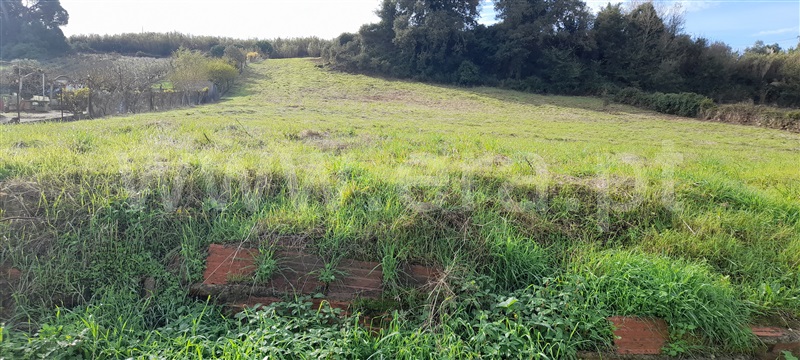 Terreno  Torres Vedras, Dois Portos e Runa - 1118442 - 5
