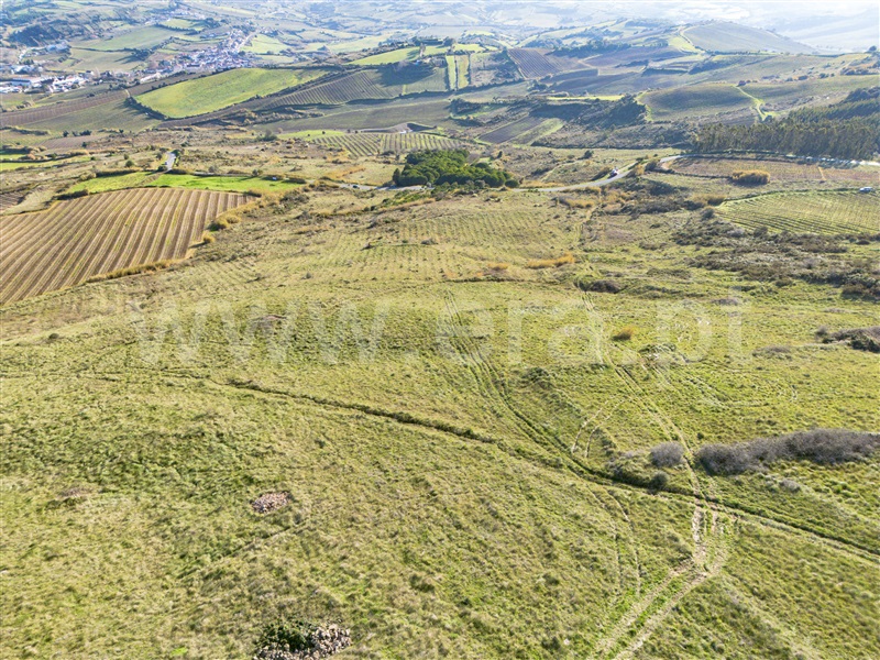 Terreno  Torres Vedras, Dois Portos e Runa - 1197048 - 8