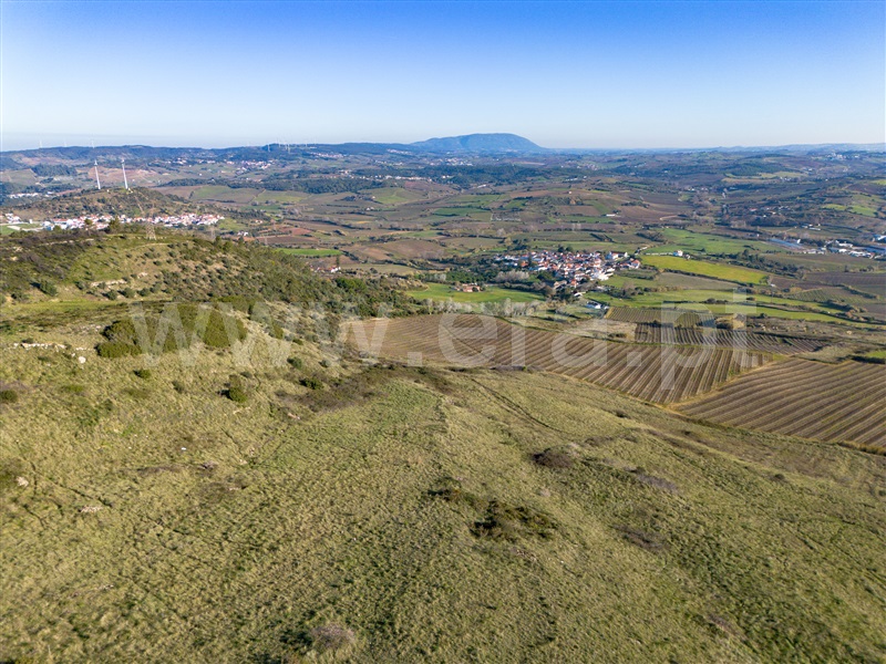 Terreno  Torres Vedras, Dois Portos e Runa - 1197048 - 10