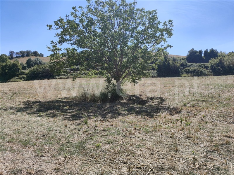 Terreno  com Agrícola Torres Vedras, Dois Portos e Runa - 1412593 - 2
