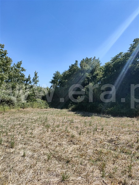 Terreno  com Agrícola Torres Vedras, Dois Portos e Runa - 1412593 - 3