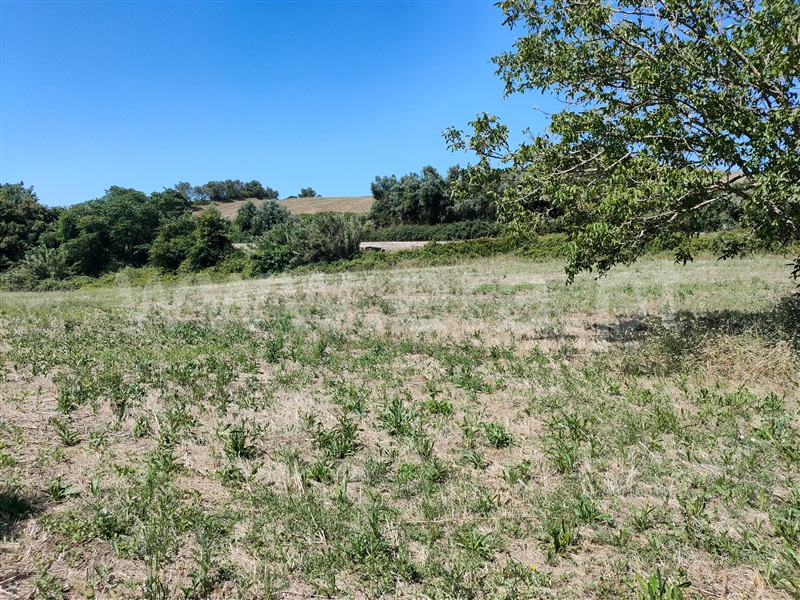 Terreno  com Agrícola Torres Vedras, Dois Portos e Runa - 1412593 - 9