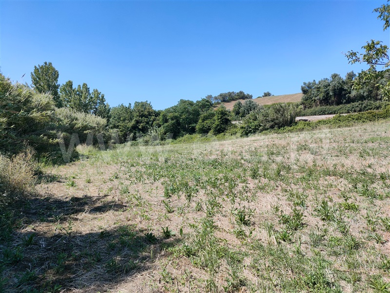 Terreno  com Agrícola Torres Vedras, Dois Portos e Runa - 1412593 - 10