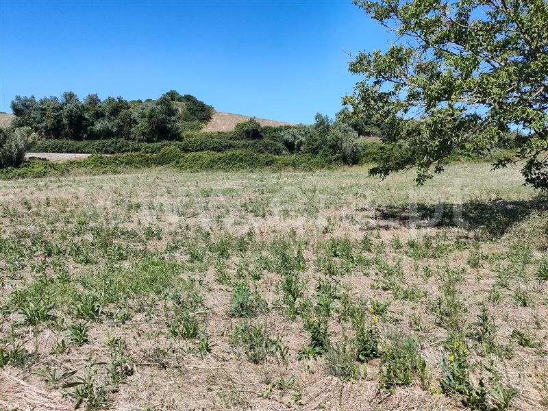 Terreno  com Agrícola Torres Vedras, Dois Portos e Runa - 1412593 - 12