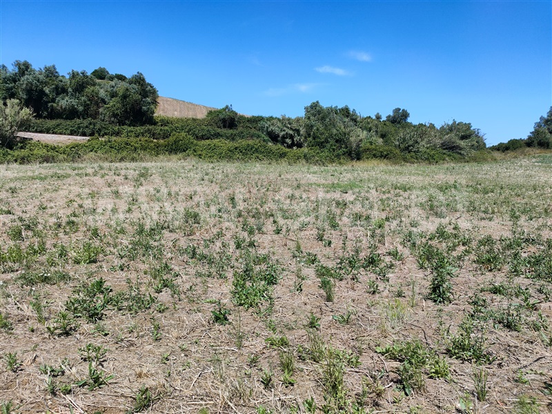 Terreno  com Agrícola Torres Vedras, Dois Portos e Runa - 1412593 - 13