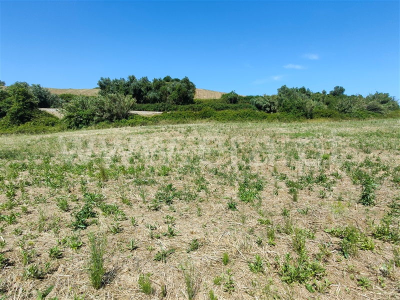 Terreno  com Agrícola Torres Vedras, Dois Portos e Runa - 1412593 - 14