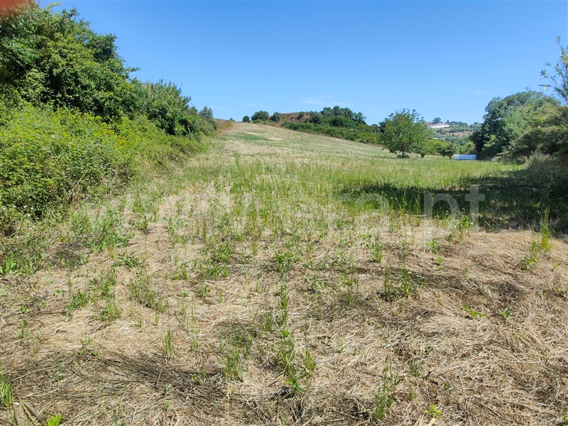 Terreno  com Agrícola Torres Vedras, Dois Portos e Runa - 1412593 - 15