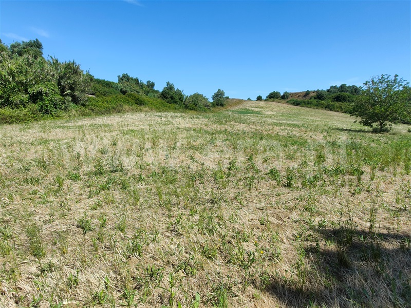 Terreno  com Agrícola Torres Vedras, Dois Portos e Runa - 1412593 - 16
