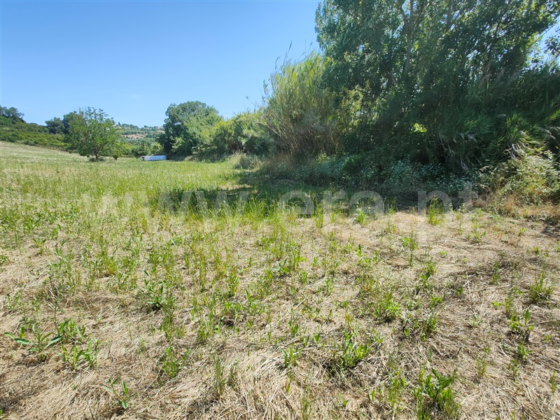Terreno  com Agrícola Torres Vedras, Dois Portos e Runa - 1412593 - 17