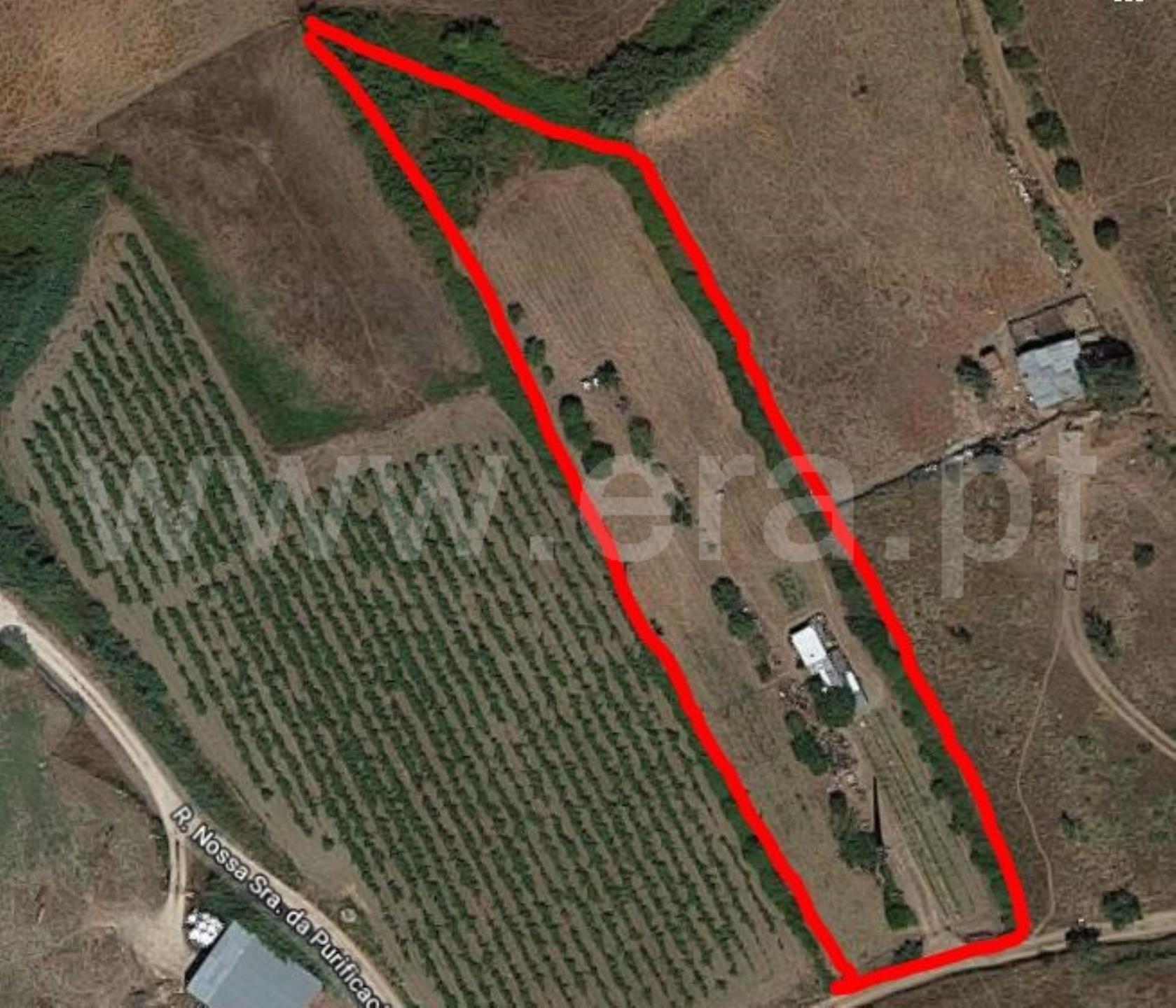 Land for sale in Torres Vedras, Portugal — €65,000