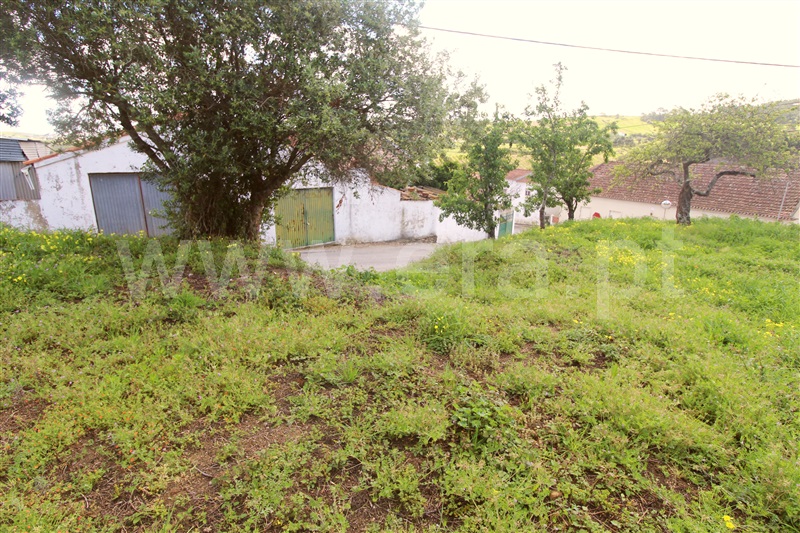 Terreno  Torres Vedras, Freiria - 1071001 - 3