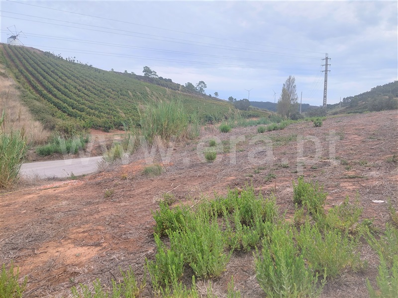 Terreno  Torres Vedras, Freiria - 1344084 - 2