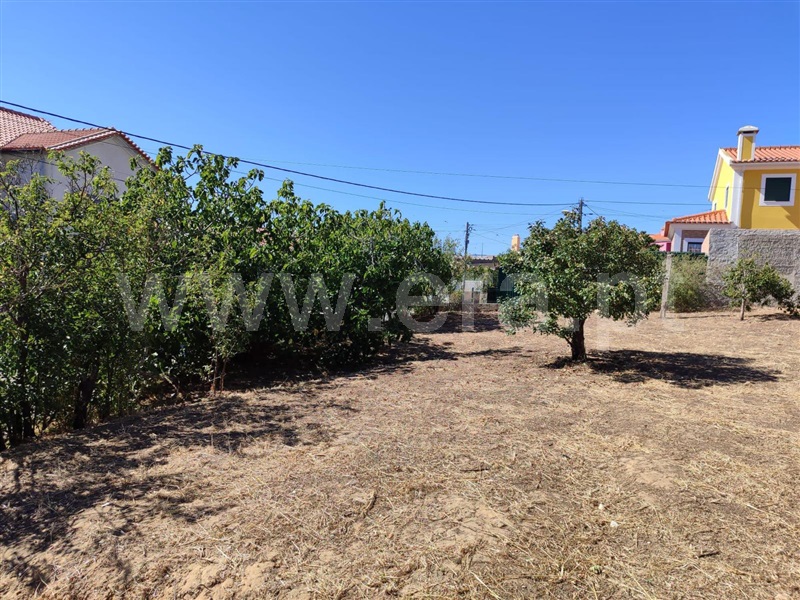 Andar Moradia  Torres Vedras, Ponte do Rol - 1472550 - 8