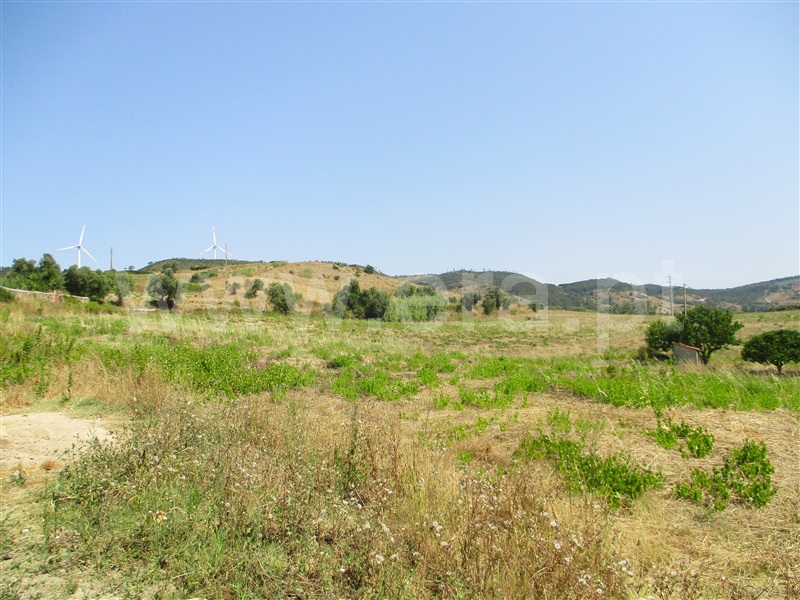 Terreno Misto  Torres Vedras, Torres Vedras (São Pedro, Santiago, Santa Maria do Castelo e São Miguel) e Matacães - 938448 - 2