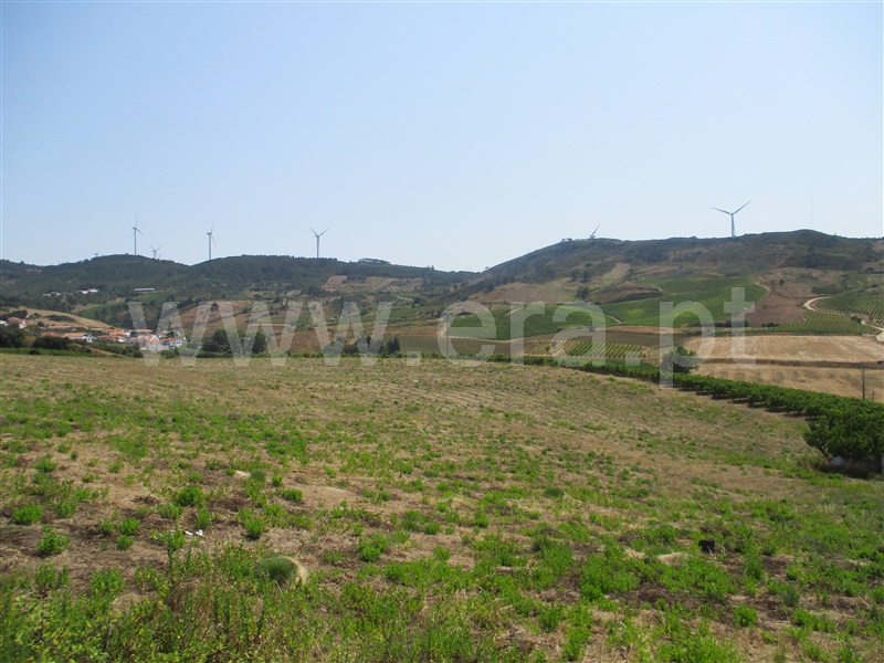 Terreno Misto  Torres Vedras, Torres Vedras (São Pedro, Santiago, Santa Maria do Castelo e São Miguel) e Matacães - 938448 - 4