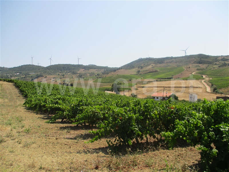 Terreno / Torres Vedras, Santa Maria, São Pedro e Matacães