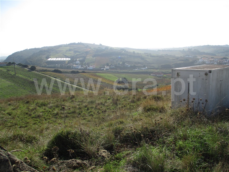 Terreno  Torres Vedras, Torres Vedras (São Pedro, Santiago, Santa Maria do Castelo e São Miguel) e Matacães - 956784 - 1