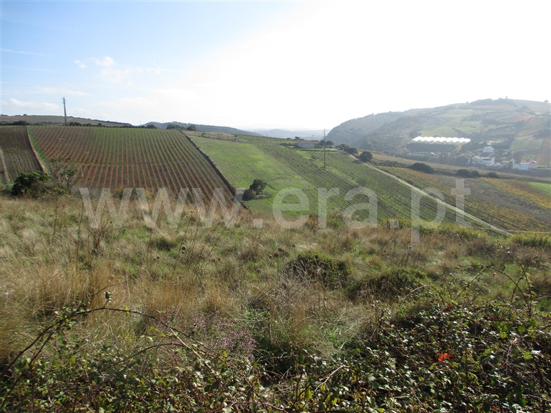 Terreno  Torres Vedras, Torres Vedras (São Pedro, Santiago, Santa Maria do Castelo e São Miguel) e Matacães - 956784 - 2