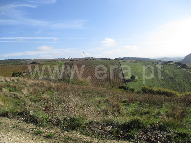 Terreno / Torres Vedras, Santa Maria, São Pedro e Matacães