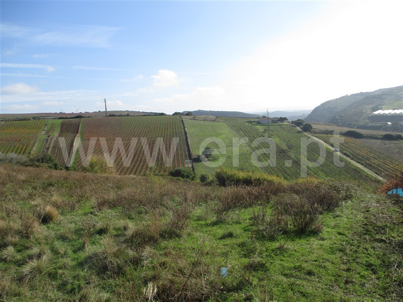 Terreno  Torres Vedras, Torres Vedras (São Pedro, Santiago, Santa Maria do Castelo e São Miguel) e Matacães - 956784 - 4