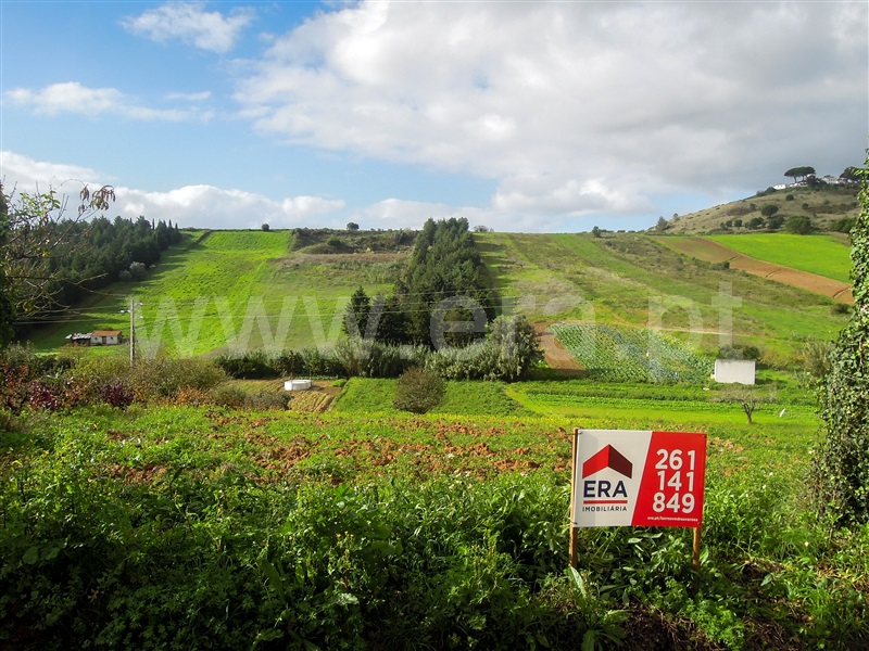 Terreno / Torres Vedras, Turcifal