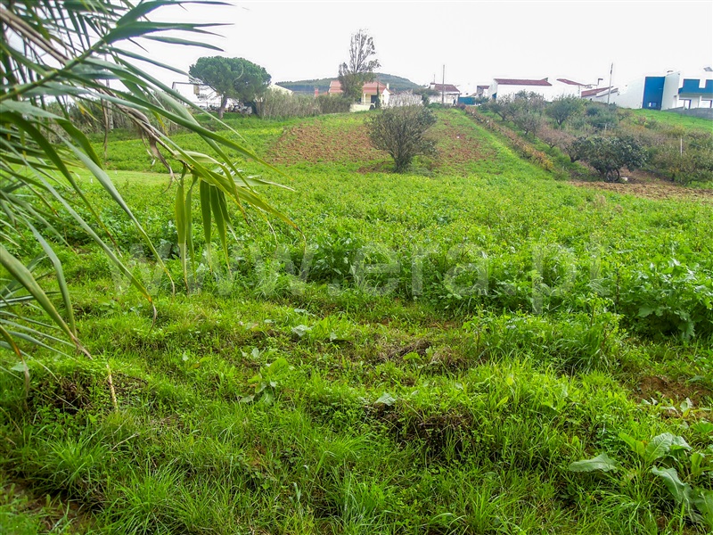 Terreno  Torres Vedras, Turcifal - 1288594 - 5