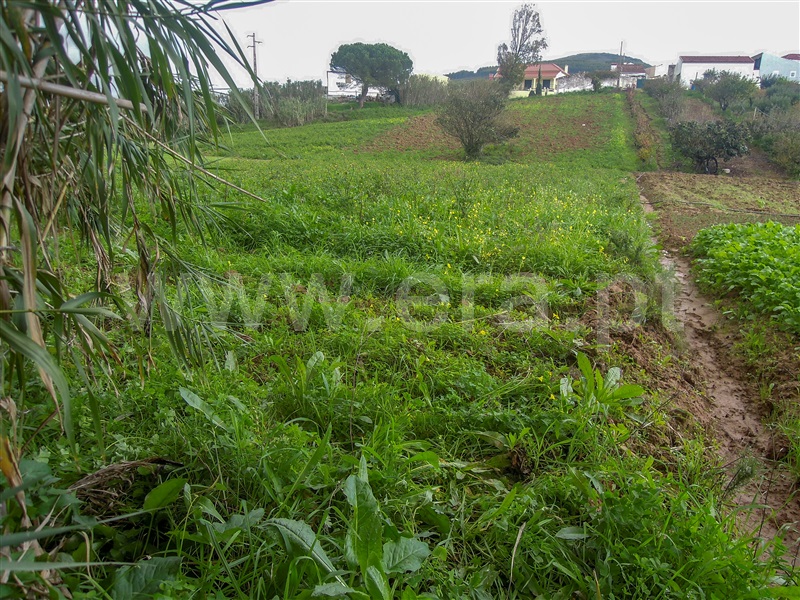 Terreno  Torres Vedras, Turcifal - 1288594 - 6