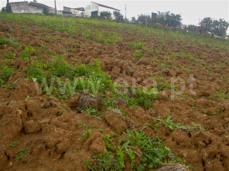 Terreno  Torres Vedras, Turcifal - 1288594 - 7