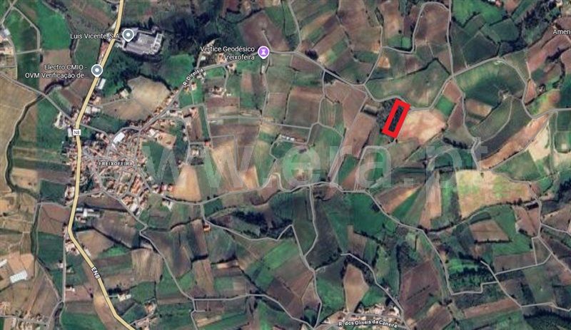 Terreno / Torres Vedras, Turcifal