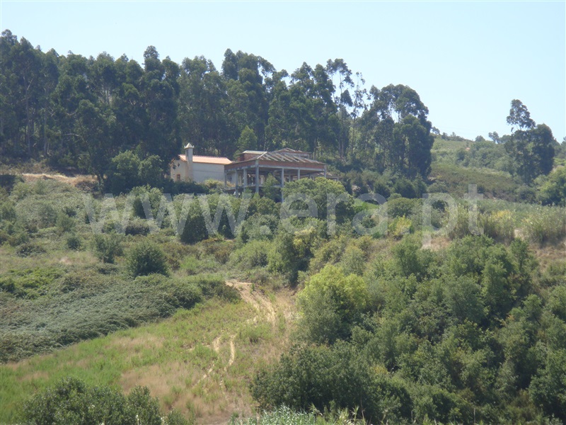 Terreno / Torres Vedras, Turcifal