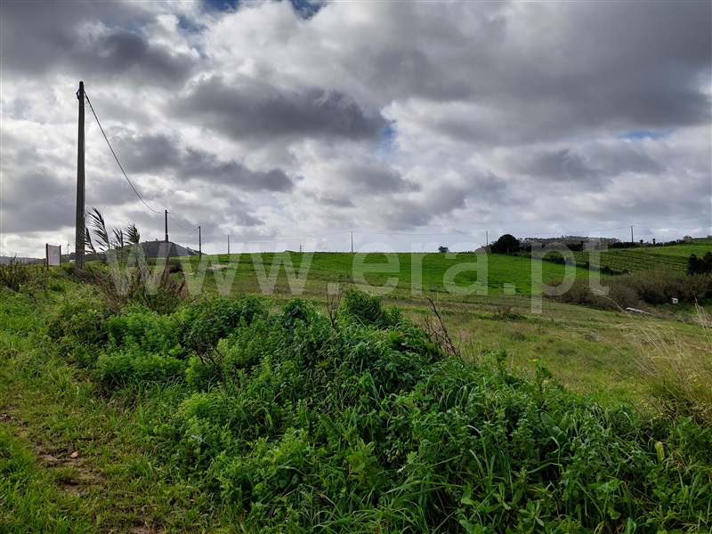 Terreno  Torres Vedras, Ventosa - 1245756 - 2