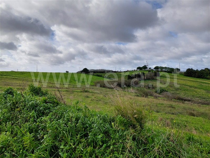 Terreno  Torres Vedras, Ventosa - 1245756 - 3