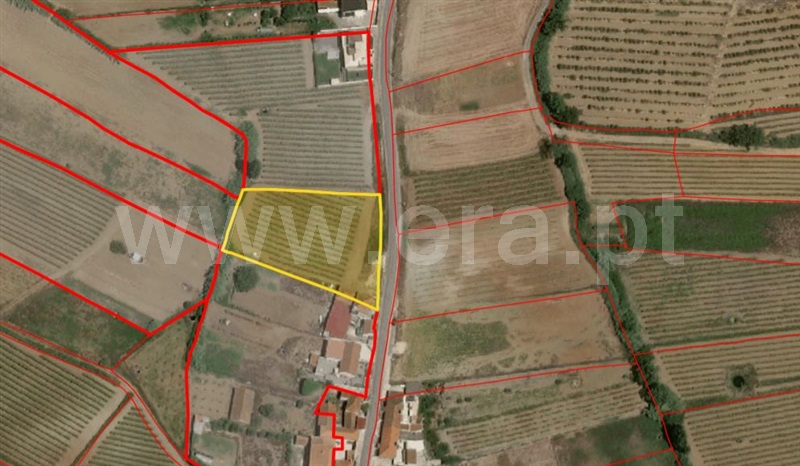 Terreno  Torres Vedras, Ventosa - 1434423 - 6