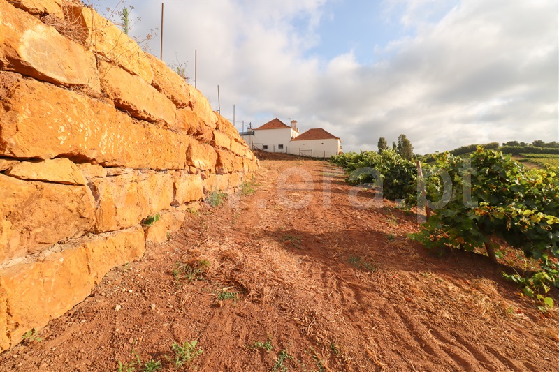 Terreno  com Urbano Torres Vedras, Ventosa - 1434423 - 2