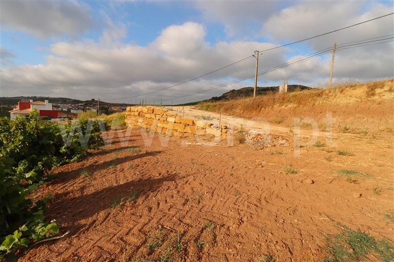 Terreno / Torres Vedras, Ventosa