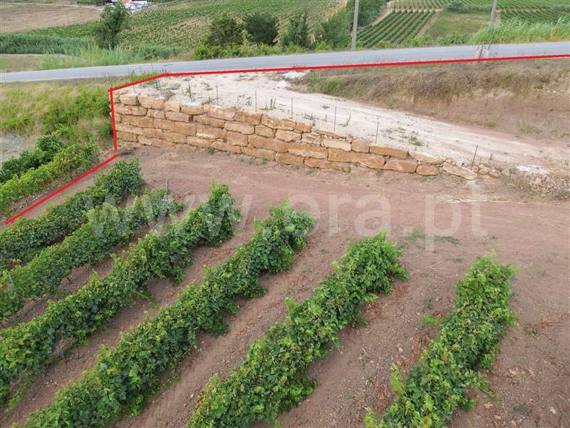 Terreno  com Urbano Torres Vedras, Ventosa - 1434423 - 7