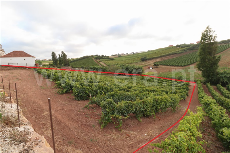 Terreno  com Urbano Torres Vedras, Ventosa - 1434423 - 8