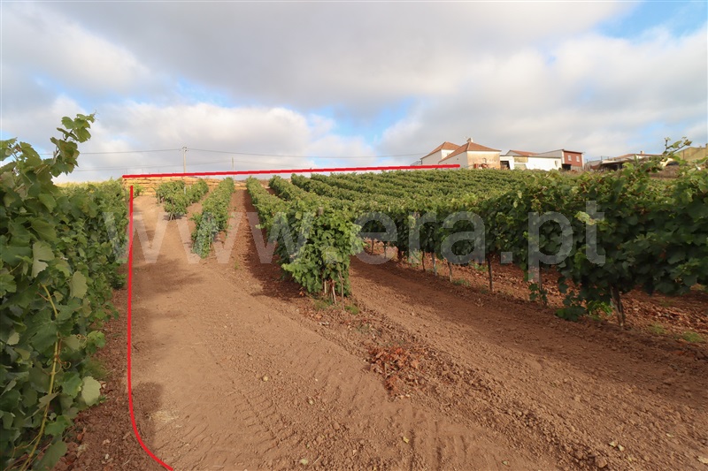 Terreno  com Urbano Torres Vedras, Ventosa - 1434423 - 9