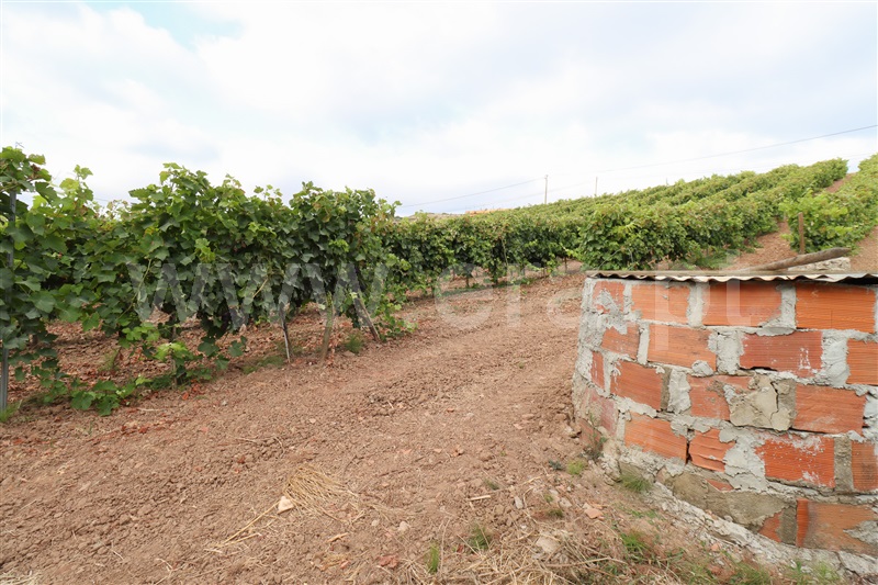 Terreno  com Urbano Torres Vedras, Ventosa - 1434423 - 11