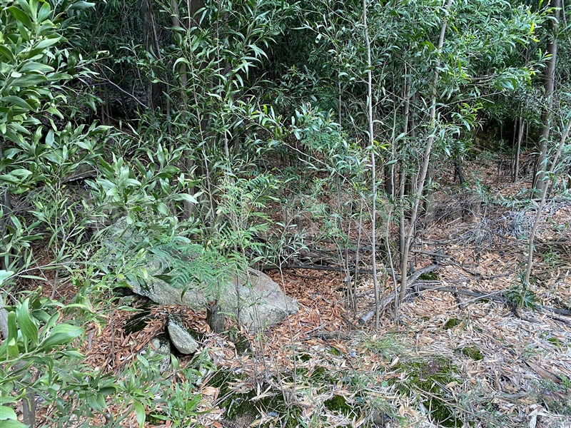 Terreno  Trofa, Alvarelhos - 1226680 - 4