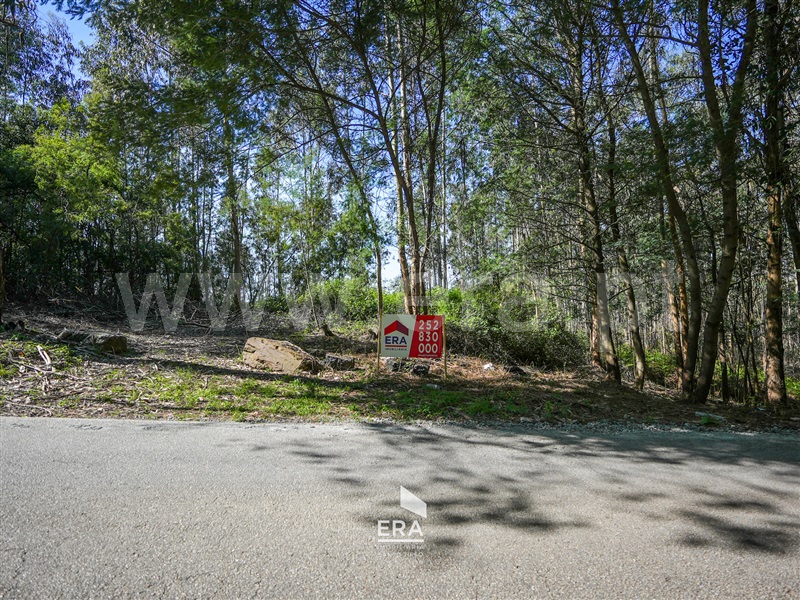 Terreno / Trofa, Bougado (São Martinho e Santiago)
