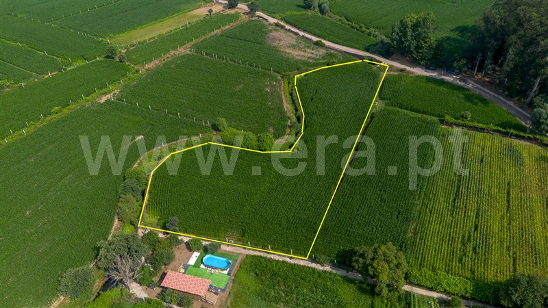 Terreno / Trofa, Bougado (São Martinho e Santiago)